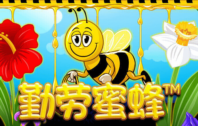 澳门新莆京8513
